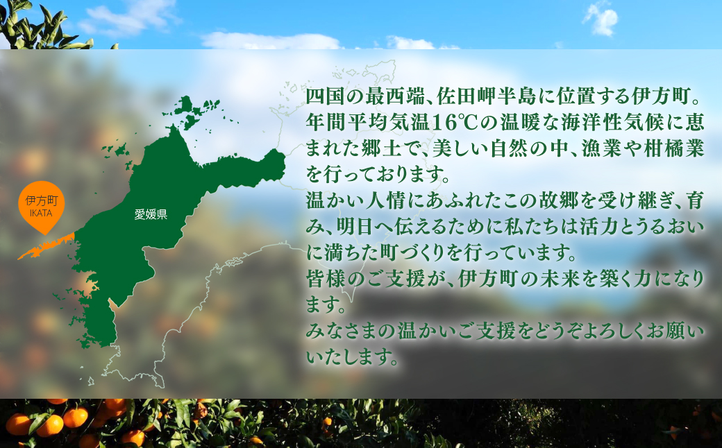 【返礼品なし】愛媛県伊方町・応援寄附50,000円（寄附のみの応援受付 ※返礼品はございません） IKTBG005