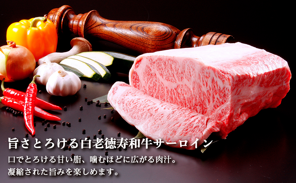 【定期便6カ月】 白老牛 サーロイン ステーキ 200ｇ×3枚 特製ソース付き 和牛 牛肉 ギフト 北海道 ＜徳寿＞ BJ068