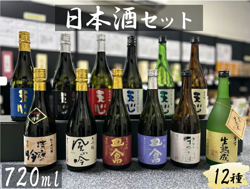 【ふるさと納税】溝上酒造 日本酒セット[4]（720ml×12本）12種類 伸び比べ 日本酒 アルコール お酒 地酒 天心 純米大吟醸 大吟醸 純米吟醸 特別純米 純米酒 山田錦純米酒 清夜の吟 風の吟 皿倉 純米吟醸 吟醸 天の宙 生熟成 宅飲み 晩酌 国産 福岡県 北九州市 送料無料
