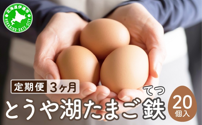 【3ヵ月 定期便】 北海道 伊達市 とうや湖 卵 鉄  20個 入り たまご