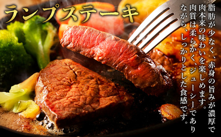 宮崎県産 黒牛 ステーキ 赤身 牛肉 ステーキ用 130g × 6枚 ランプ 130g 780g 肉 牛 国産牛 小分け 真空パック 冷凍 贈答 ギフト人気 国産 えびの市 送料無料