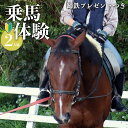 【ふるさと納税】体験乗馬 お2人様用 (蹄鉄プレゼントつき) | 馬 乗馬 体幹トレーニング ふれあい 奈良県 平群町