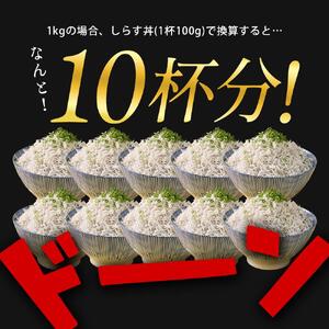 釜揚げしらす 1kg しらす 冷凍 しらす 小分け しらす 産地直送 しらす 魚 しらす さかな しらす ご飯 しらす ごはん しらす サラダ しらす パスタ しらす 卵焼き しらす お取り寄せ グル