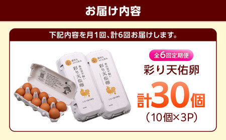 【6回定期便】彩り天佑卵 30個入り [AIDL003] 卵