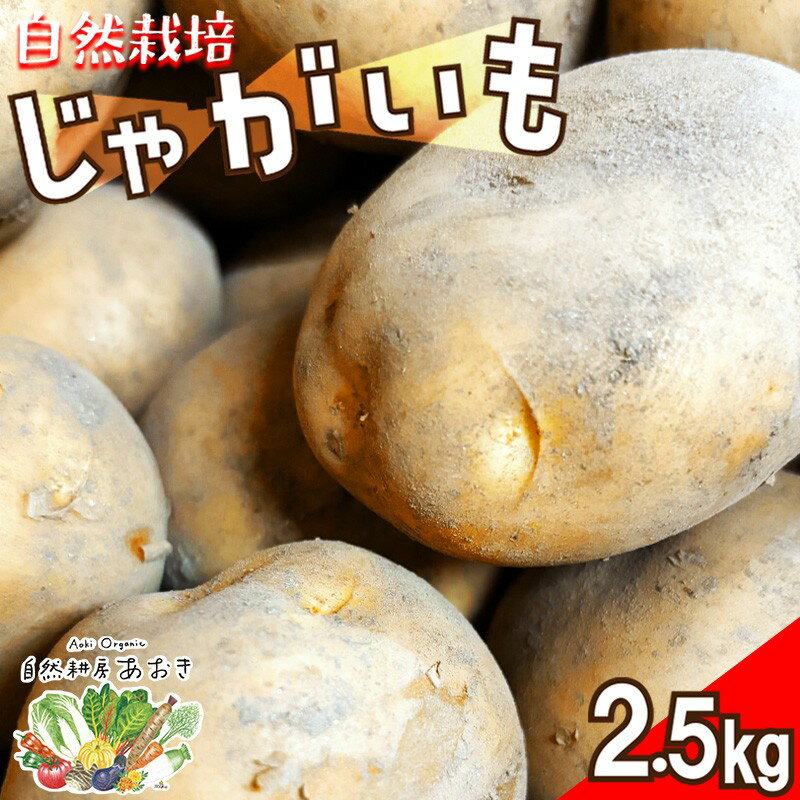 【ふるさと納税】自然栽培じゃがいも 2.5kg 京都・京丹後産 自然栽培 旬野菜 ふるさと納税 ジャガイモ キタアカリ 男爵 デジマ