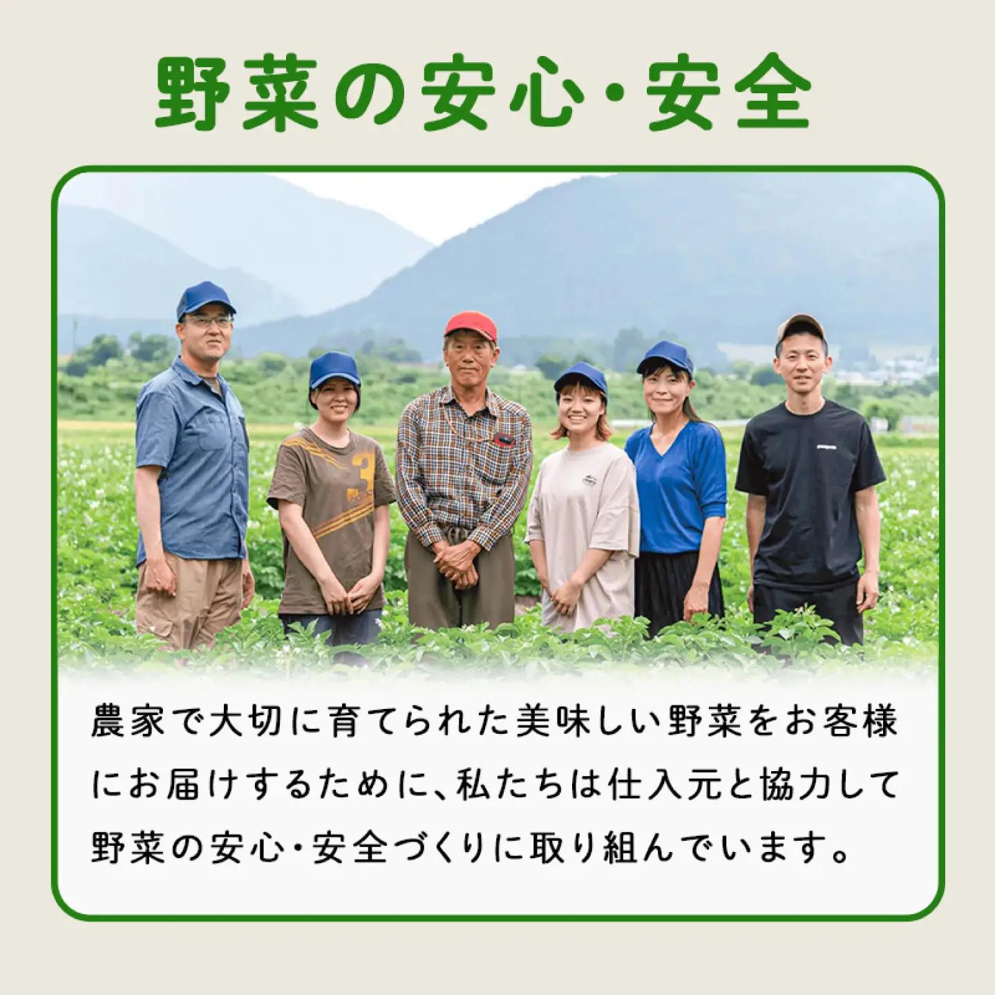 ＜ロスヘル＞多数のメディアで紹介されました！【訳あり】旬のもったいないお野菜詰め合わせセット　Mサイズ　野菜 規格外野菜 