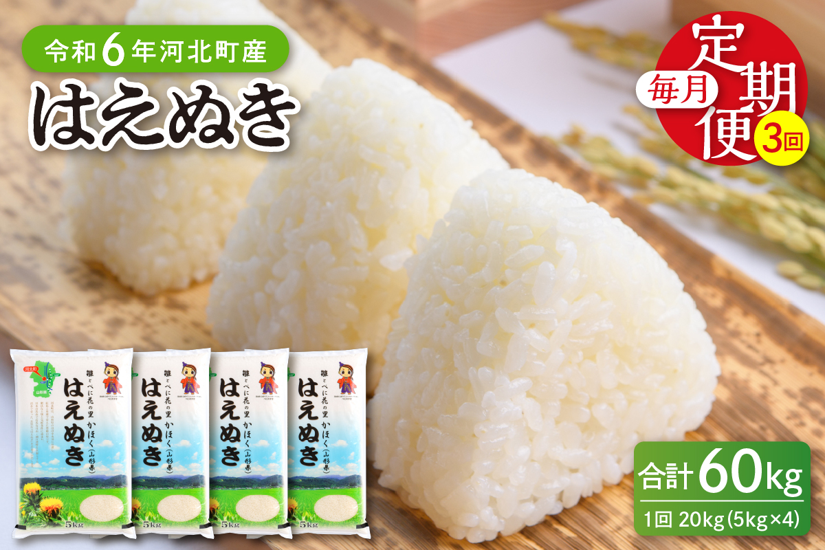 【令和6年産米】※2025年2月上旬開始※ はえぬき60kg（20kg×3ヶ月）定期便 山形県産 【JAさがえ西村山】