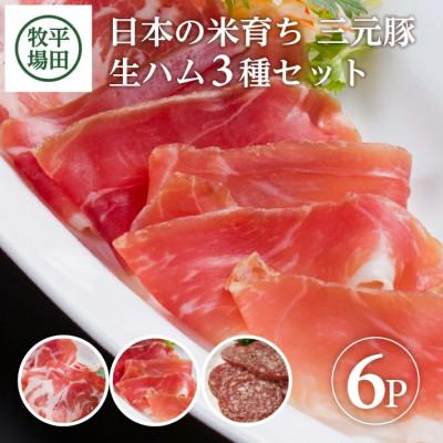 ふるさと納税 酒田市 【平田牧場】三元豚◆生ハム3種セット 　計6パック(生ハム、生ハムコッパ、サラミ 各2パック)