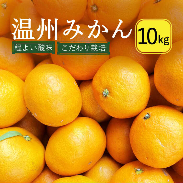 【ふるさと納税】【2025年12月中旬～発送】温州みかん 10kg (2S〜2L込) / みかん ミカン 蜜柑 柑橘 フルーツ 果物 / 南島原市 / 日野江 [SCY002]