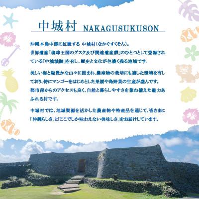 ふるさと納税 中城村 【沖縄ホーメルお試しセット】コンビーフハッシュ(63g×3個) |  | 03