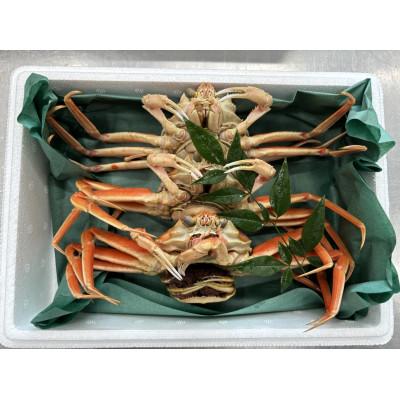 ふるさと納税 加賀市 【冷蔵発送】朝茹で香箱ガニ(ズワイガニのメス)姿3杯セット　2024年11月上旬以降発送 |  | 01