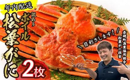 【先行予約】（訳あり）松葉ガニ（ボイル）2枚【年内配送】※着日指定不可※北海道、沖縄、一部離島への配送不可 松葉ガニ松葉ガニ松葉ガニ松葉ガニ松葉ガニカニカニカニカニカニカニ