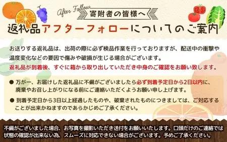 【訳あり】しらぬい（サイズ混合）5kg 【2027年2月上旬～3月上旬頃に頃順次発送予定】※北海道・沖縄・離島配送不可 / 不知火 柑橘 由良町 フルーツ 果物 くだもの 由良町 おすすめ 産地直送【