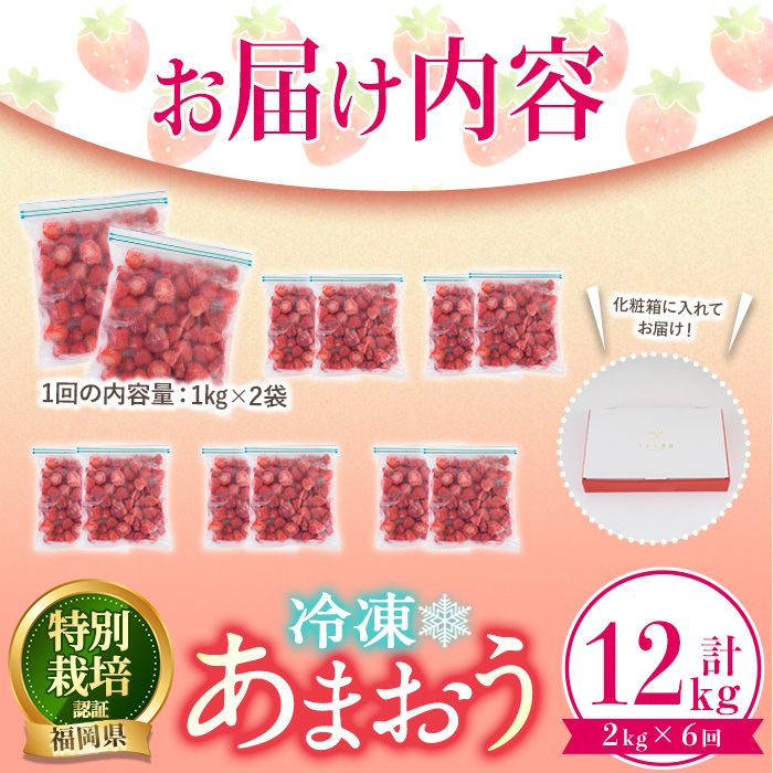 ＜全6回定期便(隔月)＞冷凍あまおう（計12kg:2kg×6回) いちご イチゴ 苺 あまおう 冷凍いちご 冷凍イチゴ 国産 福岡県 特別栽培 果物 フルーツ アイス ジャム 冷凍フルーツ ＜離島配送