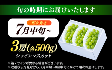 【先行予約・25年7月以降発送】 日田産シャインマスカット3房(約1.5kg)　日田市 / 南国フルーツ株式会社 ブドウ 葡萄 ぶどう[ARET003]