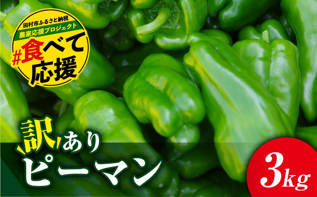 ＼先行予約 2025年発送／ 【訳あり】 ピーマン 3kg 農家直送 野菜 新鮮 BBQ 焼肉 国産 おすすめ 緊急支援品 生活応援 コロナ支援 福島県 田村市 福島 ふくしま 新田ファーム N083-003