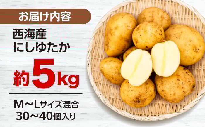 長崎 西海 じゃがいも