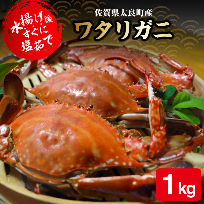 【ふるさと納税】【数量限定】有明海からの贈り物 竹崎かに 1kg / 渡り蟹 カニ 蟹味噌 海鮮 / 佐賀県 / 宗徳丸 [41ATAF002]