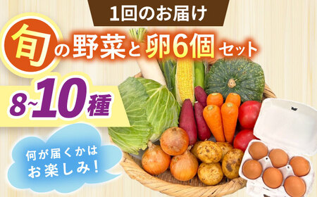 【全6回定期便】採れたてお野菜おまかせ（8～10種）・卵6個セット/ 野菜 やさい 野菜セット 野菜詰め合わせ 詰め合わせ セット たまご 卵 タマゴ 紅たまご こだまさんち / 大村市 / かとりス