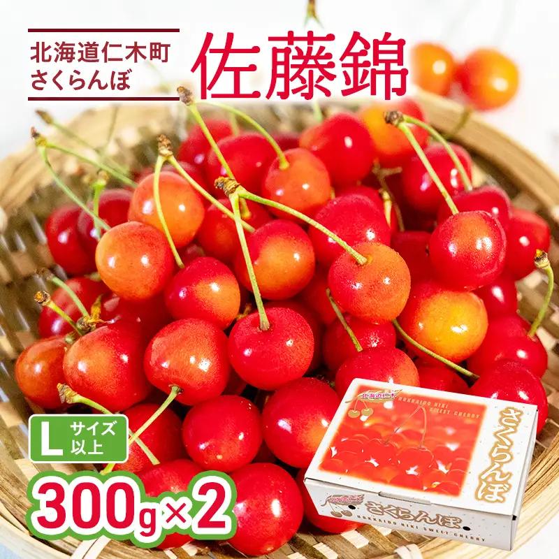 さくらんぼ 佐藤錦 600g Lサイズ 北海道 仁木町 さくらんぼ