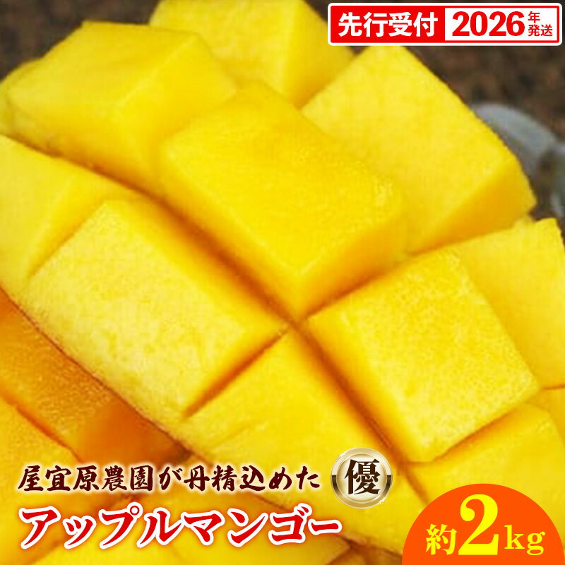 【ふるさと納税】【先行受付】【2026年発送】屋宜原農園が丹精込めた「アップルマンゴー」優約2kg - 先行予約 沖縄県産 産地直送 南国フルーツ 旬の味覚 季節の果物 贈り物 ギフト 沖縄県 八重瀬町
