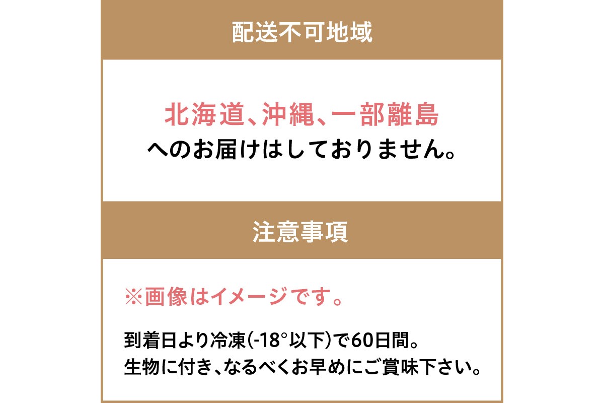 大好評！京丹後・海鮮BBQ　Gセット　大盛り生ズワイガニ　6種23品（4～5人前）（2026年4月中旬～発送） 魚介類 さざえ カキ かき いか イカ カレイ カニ 蟹 ズワイガニ ハタハタ バーベキュー キャンプ アウトドア 個包装 冷凍 送料無料 BBQファミリー　YK00558