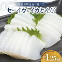 【ふるさと納税】セーイカ1kg イカとんび250g お刺身用 約1.25kg【配送不可地域：離島】【1564534】