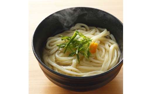 2食スープ付き　なつかしうどん　10パック ／ もっちり コシ 食塩不使用 埼玉県 No.411