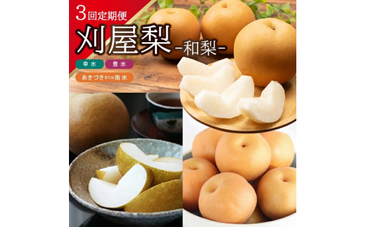 ≪3回定期便≫ 美味しい3種の刈屋梨2026 8月中旬～9月下旬 幸水梨 9月中旬～10月上旬 豊水梨 9月下旬～10月中旬 あきづき梨または南水梨 計3回 山形県酒田市産 頒布会 梨 和梨 なし 食
