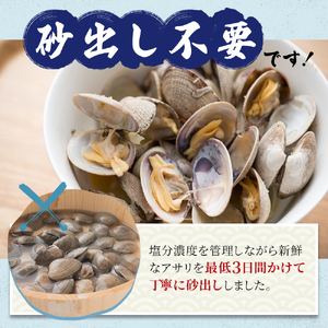12カ月 定期便 北海道 厚岸産 ボイル 冷凍 あさり 360g (180g×2パック)【丸弘水産】[ 冷凍 貝 砂抜き済 魚介 海鮮 料理 パスタ 味噌汁 具 便利 小分け 味噌汁 酒蒸し 簡単調理