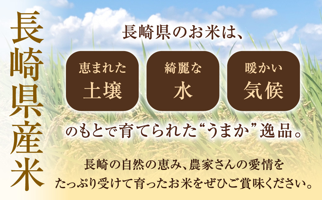 無洗米 長崎 こしひかり 計10kg ( 2.5kg×4袋 ) 米 お米 こめ コメ