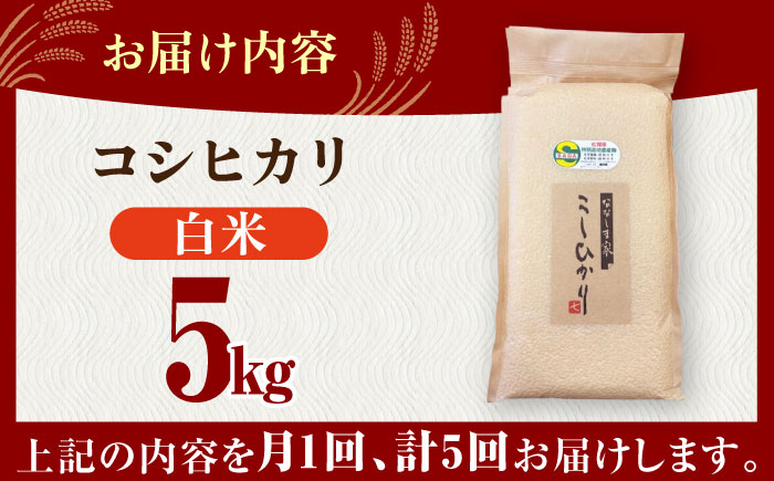 【全5回定期便】令和7年度産 ななしま家 コシヒカリ 5kg / 佐賀県 / 有限会社七島農産 [41AHAC007]