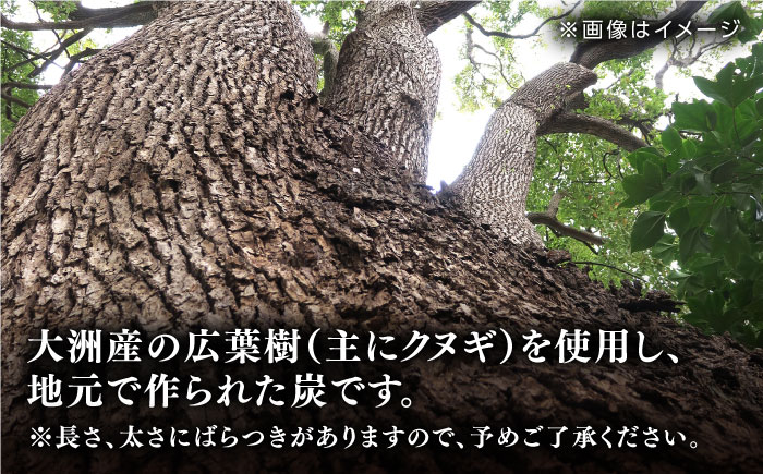 【数量限定】バーベキューに最適な大洲産「木炭」約7kg　愛媛県大洲市/大洲市森林組合 [AGBK003]木炭 デッサン 絵 炭火 七輪 窯 炭焼き バーベキュー キャンプ 料理 焼き鳥 焼き肉 ステー