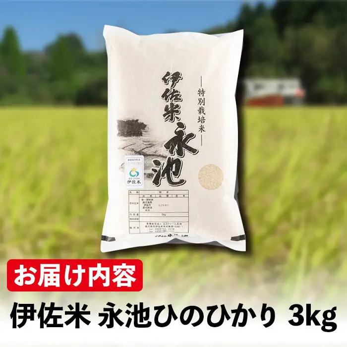 Z5-10 ＜14営業日以内に発送！＞《数量限定》令和7年産 特別栽培米 伊佐米永池ひのひかり(3kg) 伊佐市 永池 特産品 伊佐米 九州米サミット 食味コンテスト 最優秀賞受賞 ヒノヒカリ 3kg