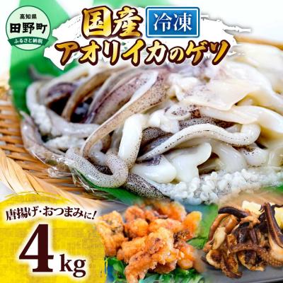 ふるさと納税 田野町 【四国一小さなまち】アオリイカのゲソ★4kg★(500g×8パック)