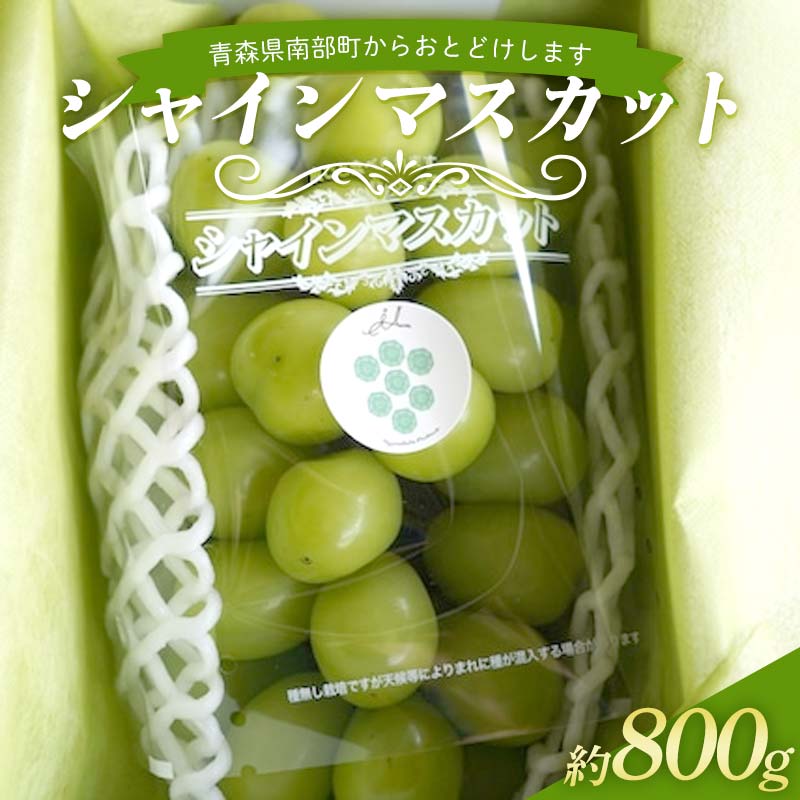 【ふるさと納税】 農林水産大臣賞受賞 シャインマスカット 約800g 【沼畑総合ファーム】 フルーツ 大粒 ぶどう 葡萄 ブドウ 果物 人気 種なし 新鮮 高級 ギフト 贈答 くだもの 期間限定 青森県 南部町 F21U-510
