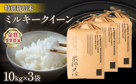令和8年産 新米 ミルキークイーン 10kg×3袋 お米 WN