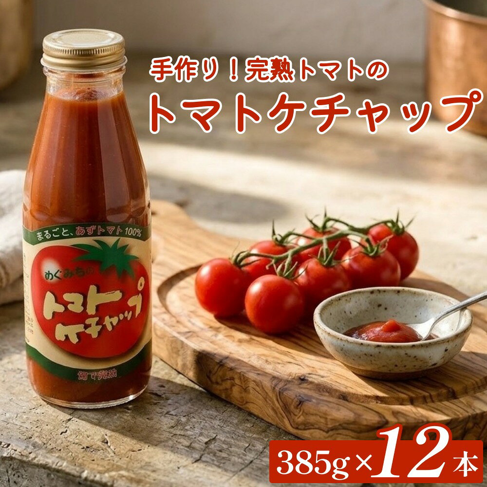 【ふるさと納税】【めぐみ会】トマトケチャップ 12本セット 完熟トマト 手作り