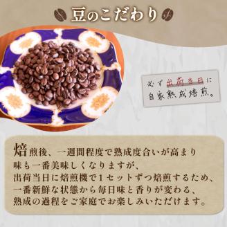 【中煎り】  訳あり コーヒー豆 1kg ( 500g × 2袋 ) 数量限定 グアテマラ 珈琲 自家焙煎 下関 山口