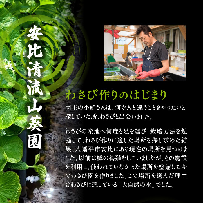 安比清流わさびアイス5個セット 【安比清流山葵園】 ／ 山葵 ワサビ アイスクリーム スイーツ デザート
