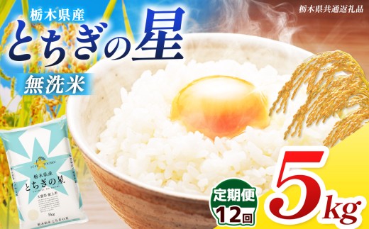 【栃木県共通返礼品】【先行予約】【令和8年度産】【定期12回】訳あり 栃木県産 とちぎの星  無洗米 5kg | 定期便 選べる ふるさと 納税 コシヒカリ とちぎの星 お米 精米 無洗米 ごはん ご飯 主食 日本米 kome 栃木県 共通返礼品 那珂川町 送料無料