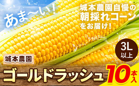 とうもろこし10本 城本農園