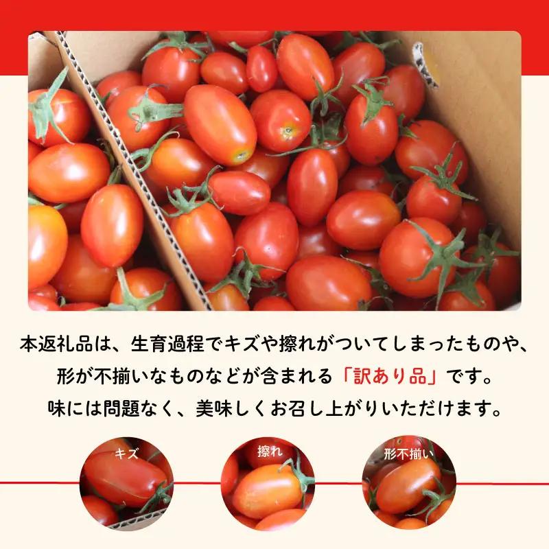 ミニトマト 朝採れ あまっこ 約3kg 【ミニトマト】 トマト 