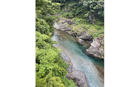 鮎　甘露煮　８尾／大森水産　あゆ　お取り寄せグルメ　川魚　和食　三重県　大台町
