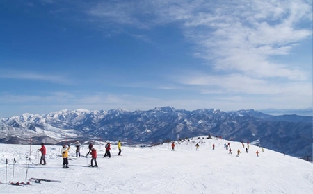 白馬八方尾根スキー場リフト券＜大人1日券 1枚＞チケット/長野県白馬村 2025−2026 ゲレンデ スキー スノーボード リゾート 旅行 パウダースノー 北アルプス HAKUBA HAPPO-ONE
