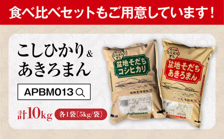 【全6回定期便】 米 盆地そだちこしひかり 5kg[APBM030]米