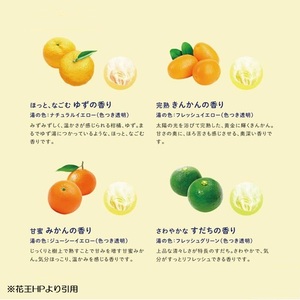SA2996　花王バブ 至福の柑橘めぐり浴 12錠入×6箱