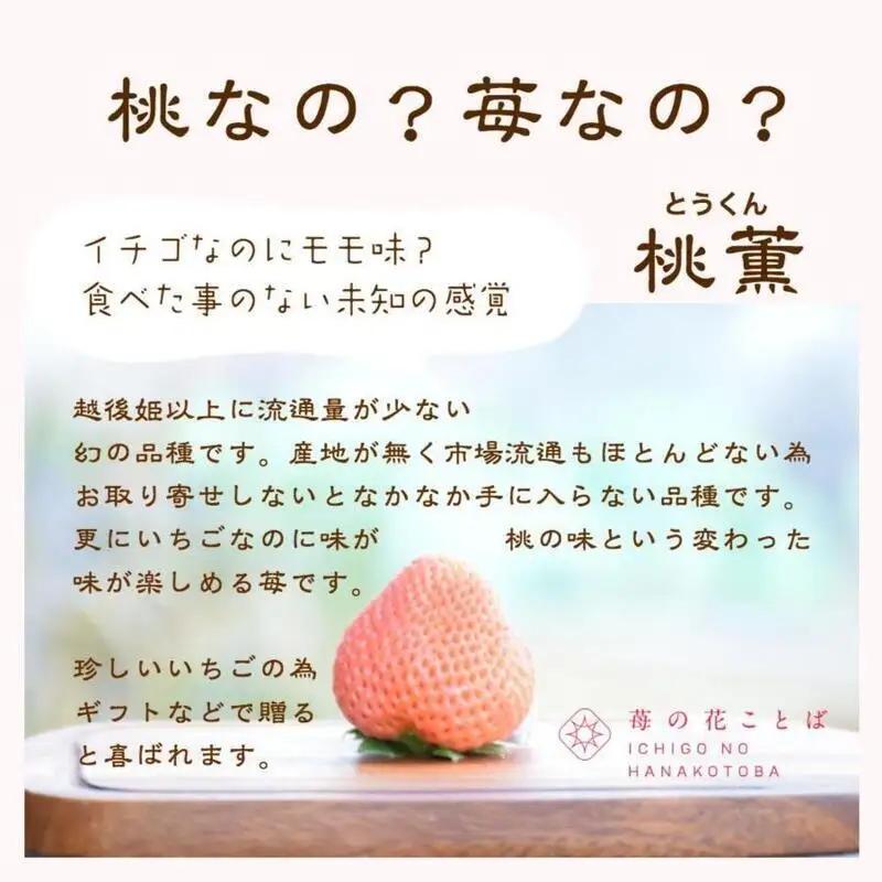 先行予約  いちご 雪国完熟越後姫桃薫シングル(約380g)ギフト箱入り 食べ比べ セット イチゴ 苺 果物 フルーツ 新潟 苺の花ことば
