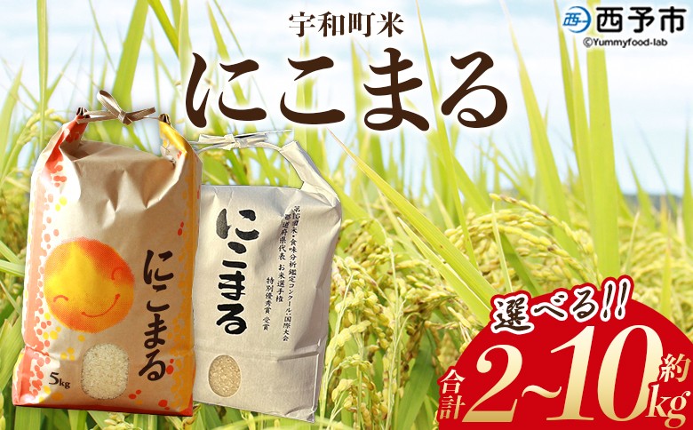 
            新米＜令和7年産 西予市宇和町産 にこまる 約2kg/5kg/10kg＞ お米 コメ 白米 精米 単一原料米 ご飯 晩稲 大粒 精米 ご飯 ライス 穀物 ニコマル 特産品 愛媛県産 西予市産 宇和町産 三好フク 愛媛県 西予市【常温】『2025年10月中旬より順次出荷予定』
          