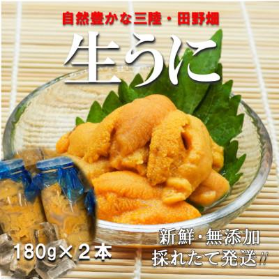 ふるさと納税 田野畑村 【予約・7月中旬〜発送】三陸生うに　180g×2本　国立公園・田野畑村から(瓶入りミョウバン不使用)